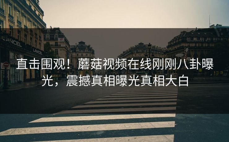直击围观!蘑菇视频在线刚刚八卦曝光,震撼真相曝光真相大白