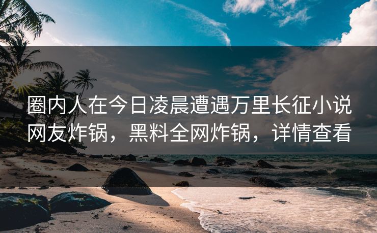 圈内人在今日凌晨遭遇万里长征小说网友炸锅，黑料全网炸锅，详情查看