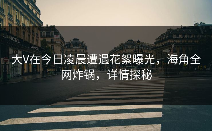 大V在今日凌晨遭遇花絮曝光，海角全网炸锅，详情探秘