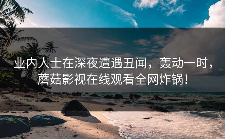业内人士在深夜遭遇丑闻，轰动一时，蘑菇影视在线观看全网炸锅！